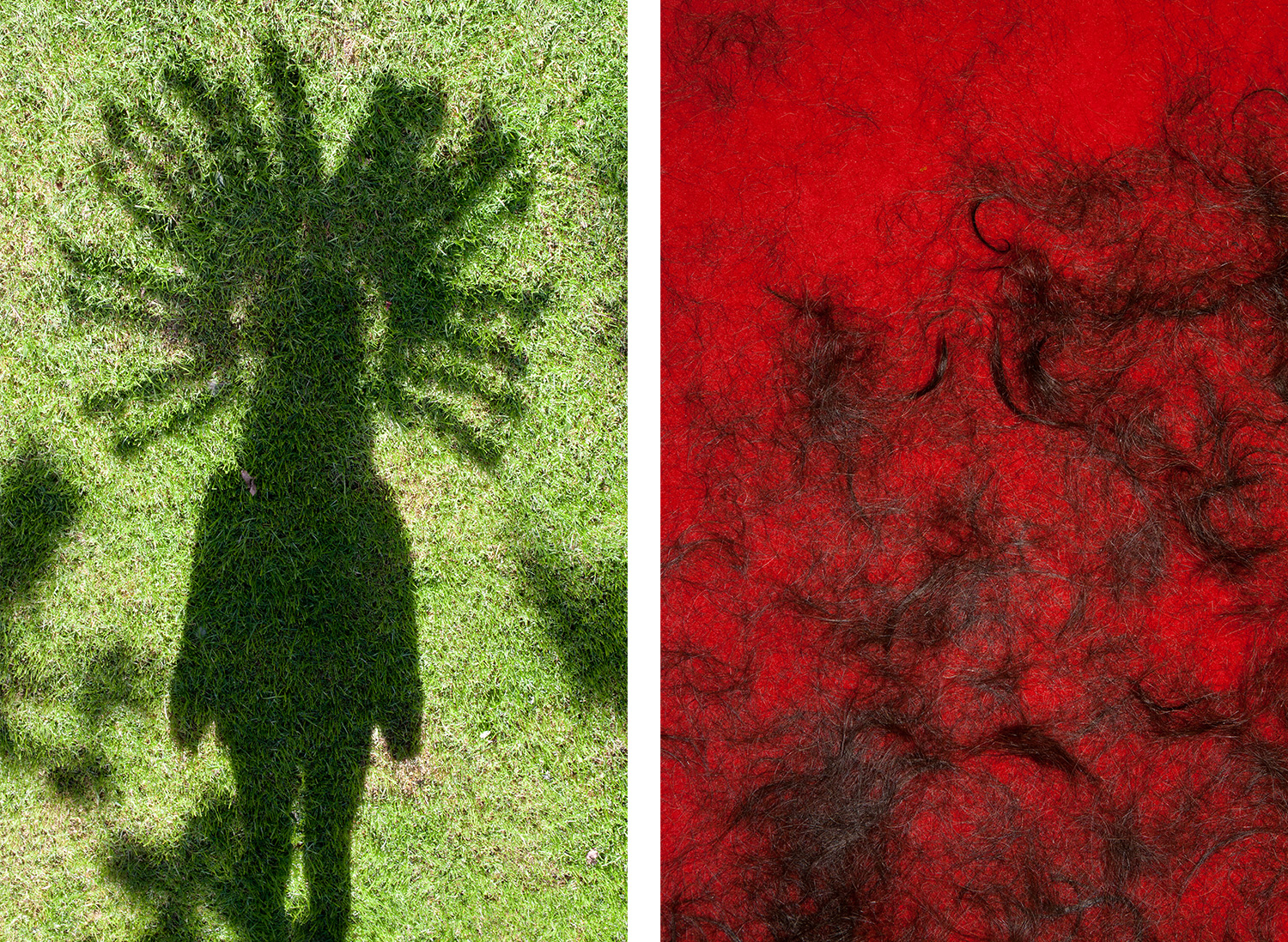 Indian shadow & Hair on red carpet