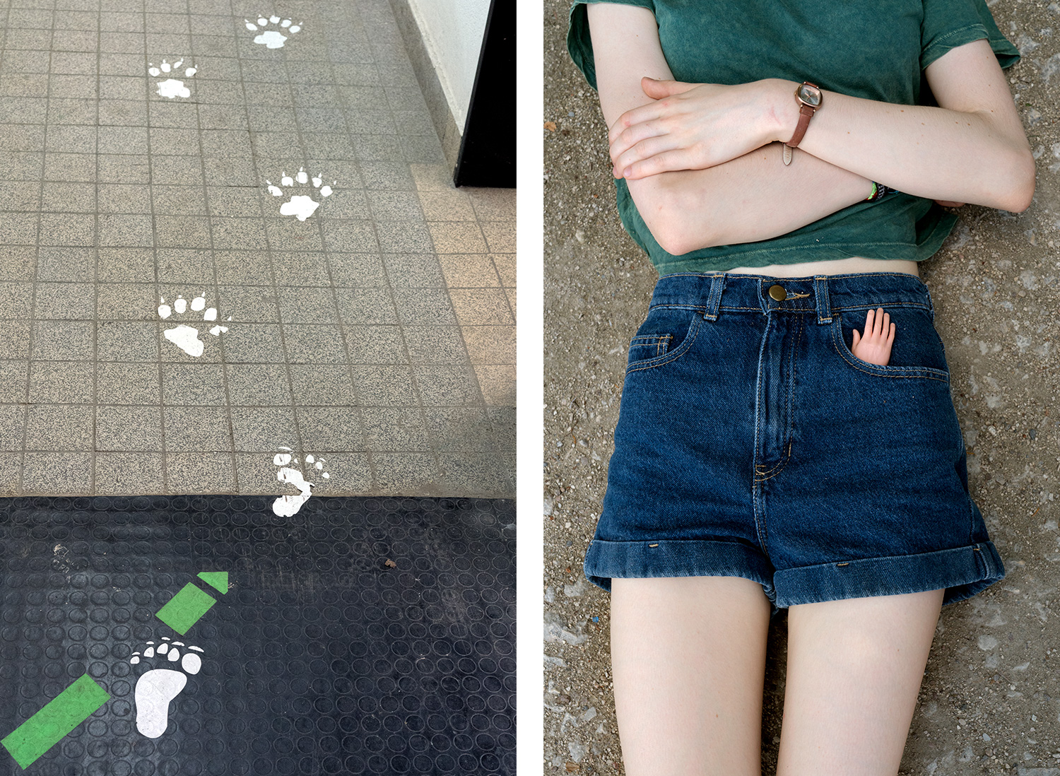 Footprints and Paw prints & Little plastic hand