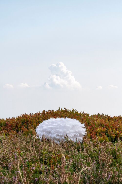 Lampenschirm mit Federn, aus »Back to Nature«